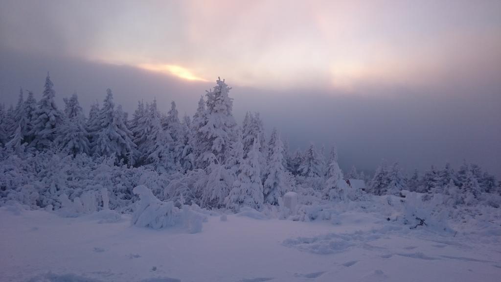 Ski Apartman Klinovec Loučná pod Klínovcem Exterior foto